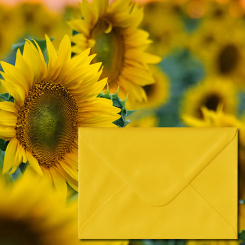 Sunflower Yellow Envelopes