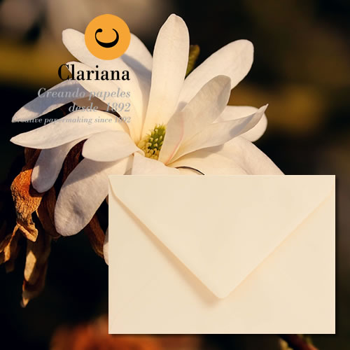 Magnolia Envelopes