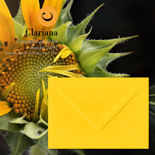 Mid Yellow Envelopes