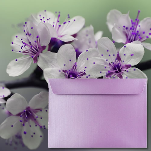 Pearlescent Lavender