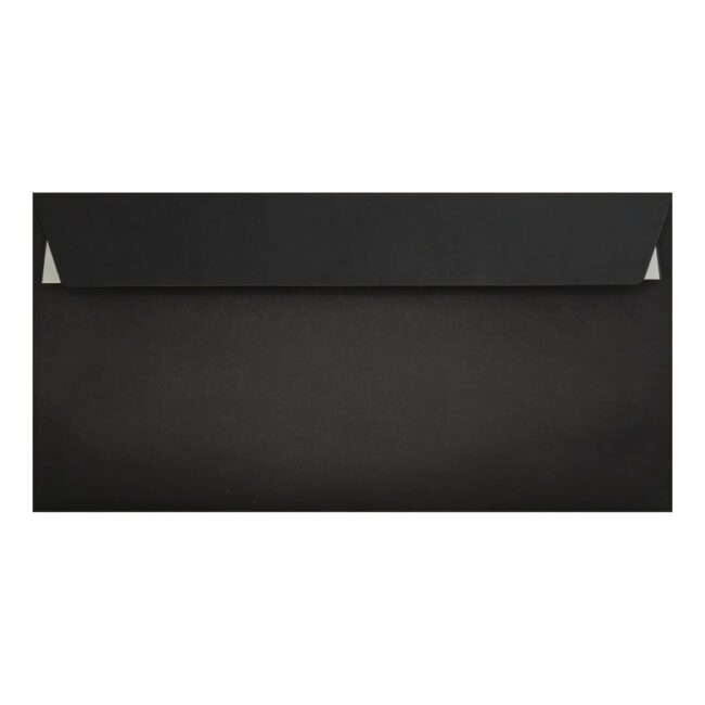 Clariana Black Envelope Dl Wallet Closed