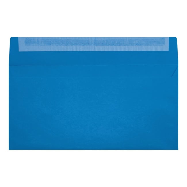 Clariana Bright Blue Envelope Dl Wallet Open
