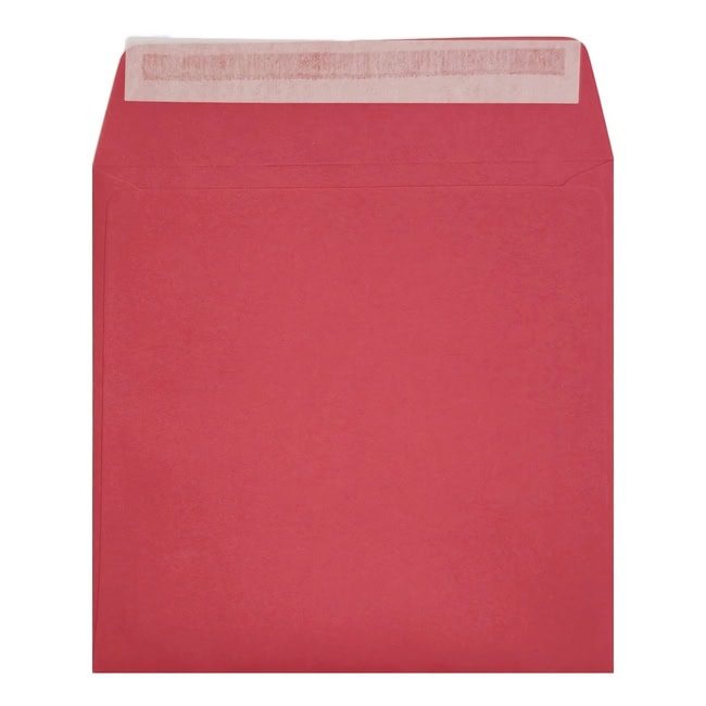 Clariana Bright Pink Envelope 155mm Square Wallet Open