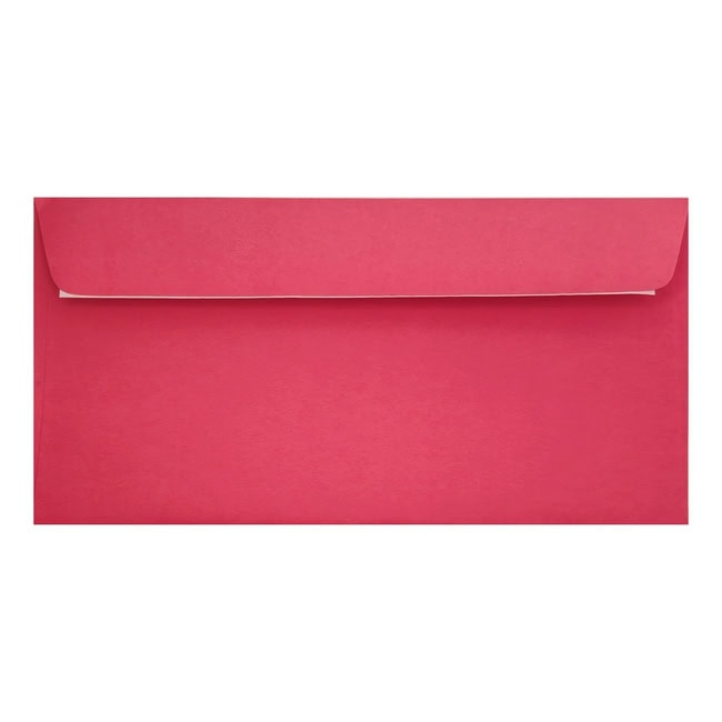 Clariana Bright Pink Envelope Dl Wallet Closed