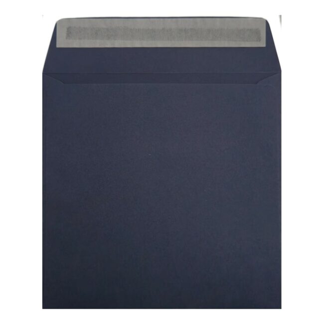 Clariana Dark Blue Envelope 155mm Square Wallet Open