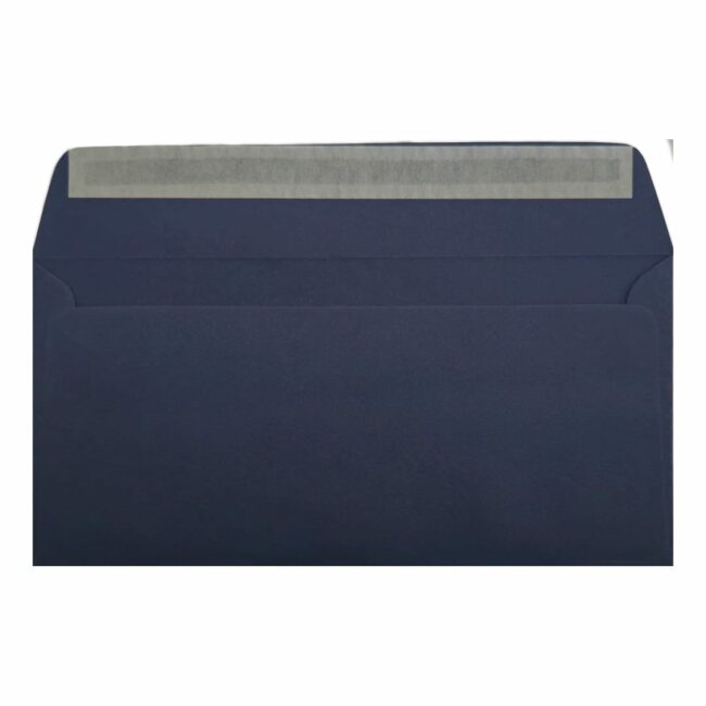 Clariana Dark Blue Envelope Dl Wallet Open