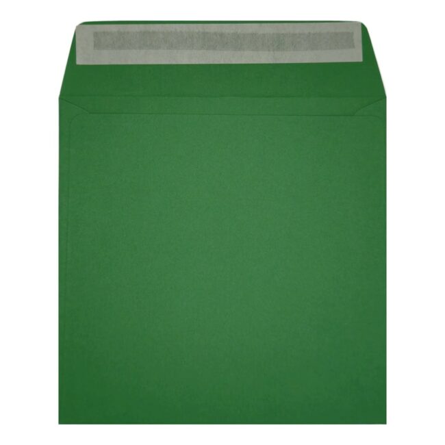 Clariana Dark Green Envelope 155mm Square Wallet Open
