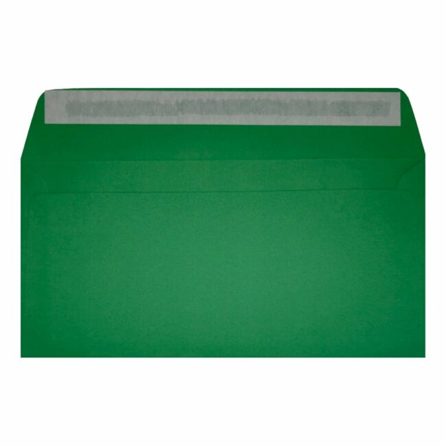 Clariana Dark Green Envelope Dl Wallet Open