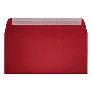 Clariana Dark Red Envelope Dl Walllet Open