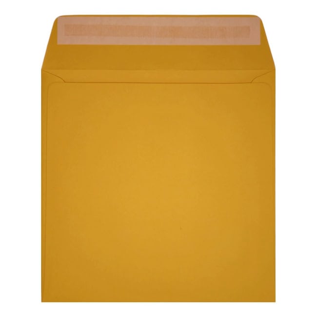 Clariana Dark Yellow Envelope 155mm Square Wallet Open
