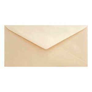 Clariana Magnolia Envelope Dl Closed
