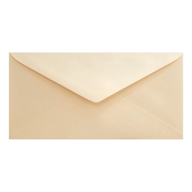Clariana Magnolia Envelope Dl Closed
