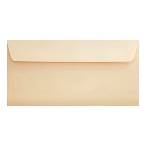 Clariana Magnolia Envelope Dl Wallet Closed