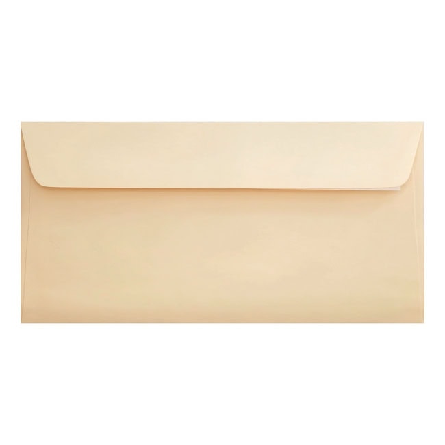 Clariana Magnolia Envelope Dl Wallet Closed