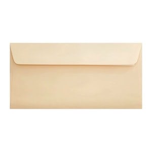 Clariana Magnolia Envelope Dl Wallet Ratio