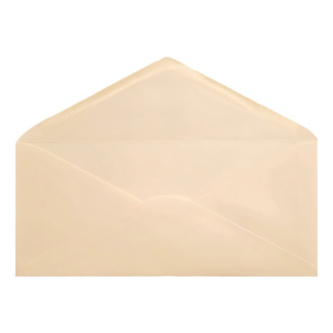 Clariana Magnolia Envelope Letterbox Open