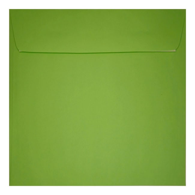 Clariana Mid Green Envelope 155mm Square Wallet Closed