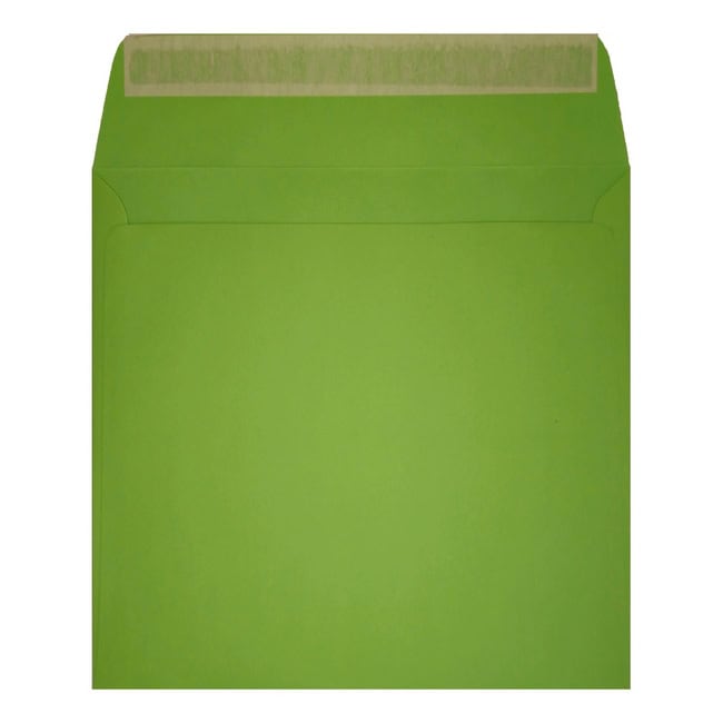 Clariana Mid Green Envelope 155mm Square Wallet Open