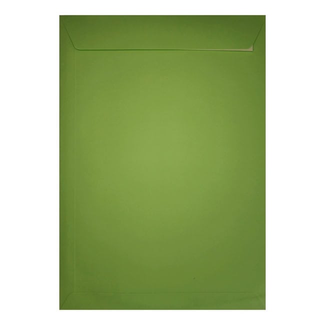 Clariana Mid Green Envelope C4 Pocket Closed