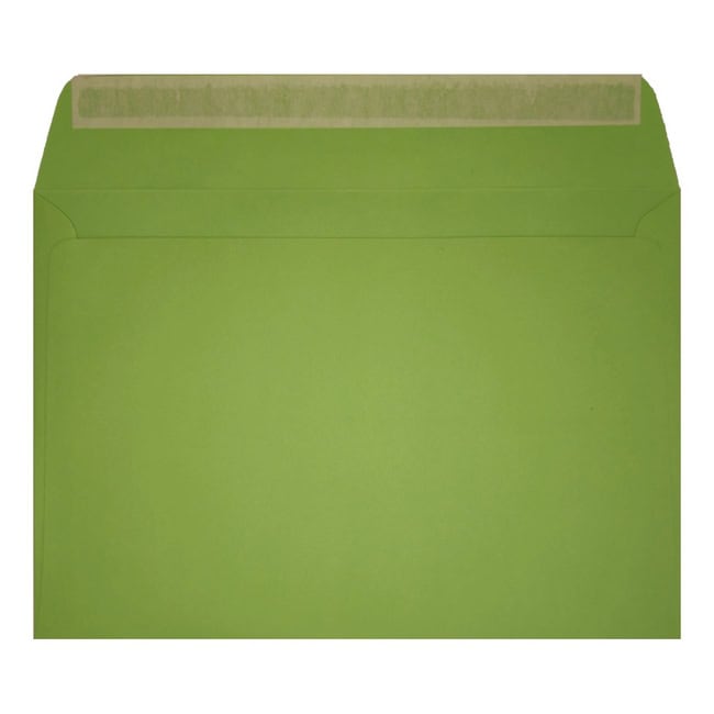 Clariana Mid Green Envelope C6 Wallet Open