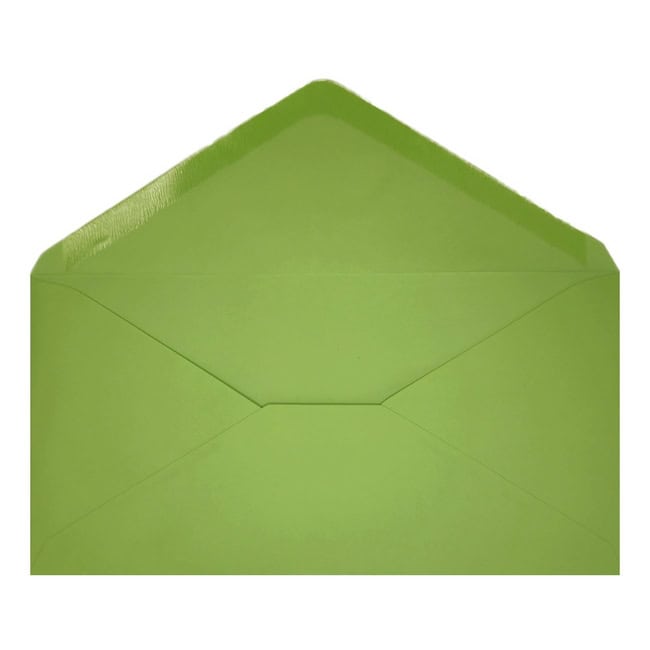 Clariana Mid Green Envelope Dl Open