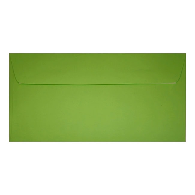 Clariana Mid Green Envelope Dl Wallet Closed
