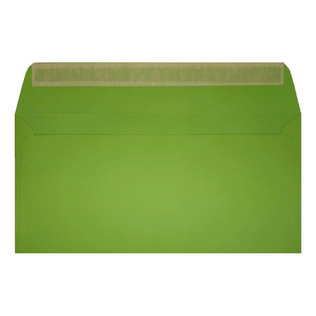 Clariana Mid Green Envelope Dl Wallet Open