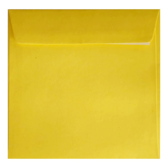 Clariana Mid Yellow Envelope 155mm Square Wallet Closed
