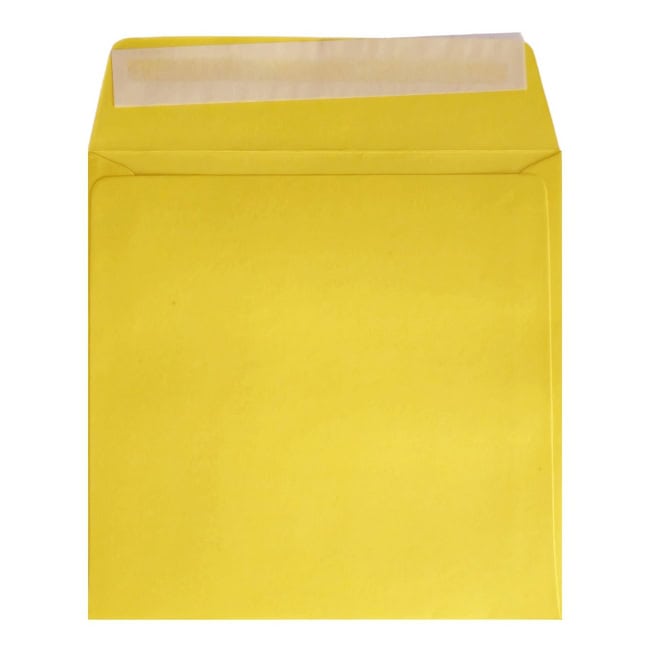 Clariana Mid Yellow Envelope 155mm Square Wallet Open