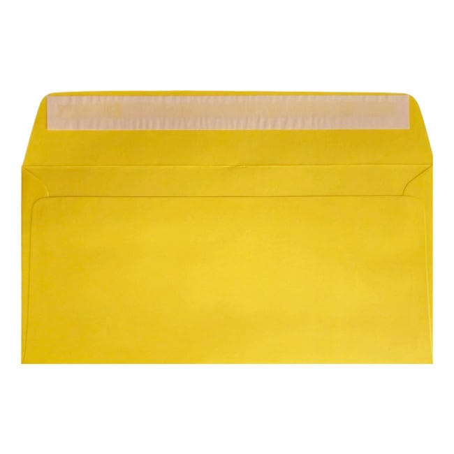 Clariana Mid Yellow Envelope Dl Wallet Open