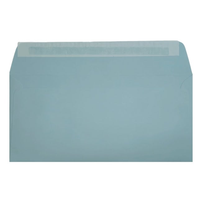Clariana Pale Blue Envelope Dl Wallet Open