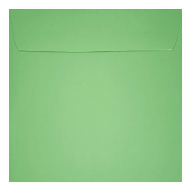 Clariana Pale Green Envelope 155mm Square Wallet Closed