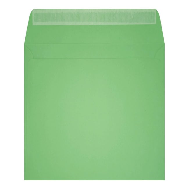 Clariana Pale Green Envelope 155mm Square Wallet Open