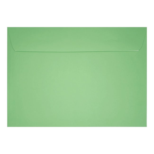 Clariana Pale Green Envelope C6 Wallet Closed