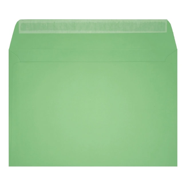 Clariana Pale Green Envelope C6 Wallet Open