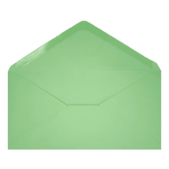 Clariana Pale Green Envelope Dl Open
