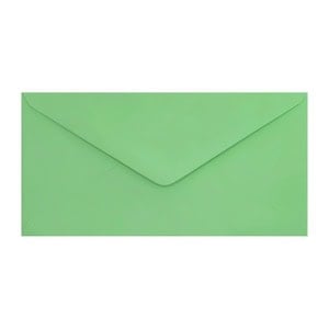 Clariana Pale Green Envelope Dl Ratio
