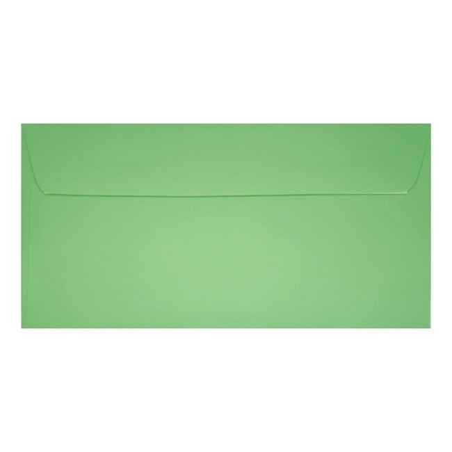 Clariana Pale Green Envelope Dl Wallet Closed