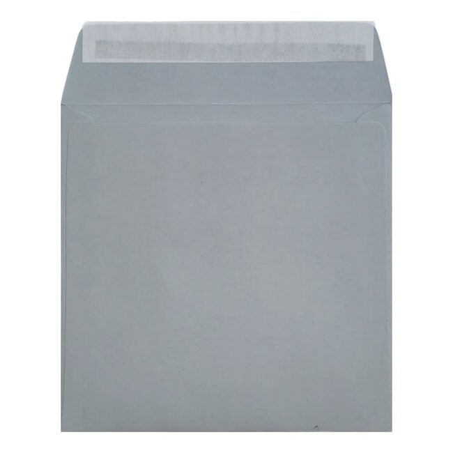 Clariana Pale Grey Envelope 155mm Square Wallet Open