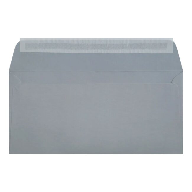 Clariana Pale Grey Envelope Dl Wallet Closed