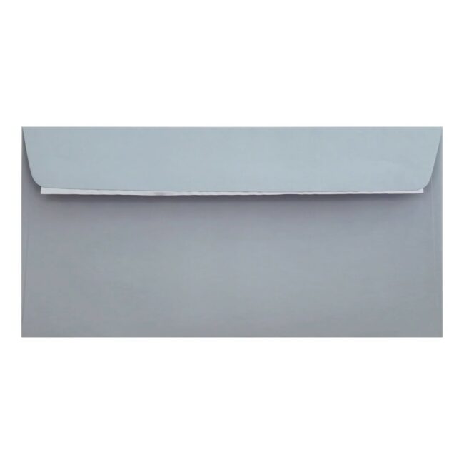 Clariana Pale Grey Envelope Dl Wallet Open