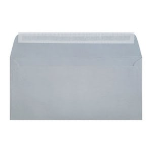 Clariana Pale Grey Envelope Dl Wallet Ratio
