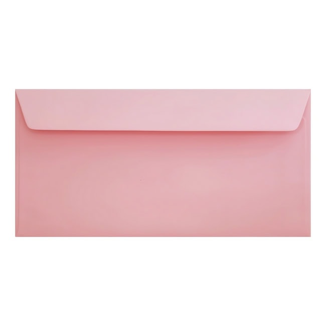 Clariana Pale Pink Envelope Dl Wallet Closed