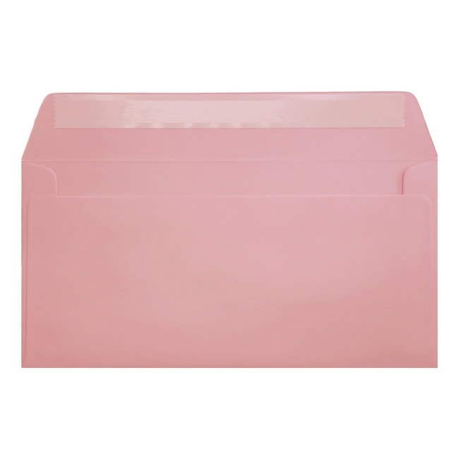 Clariana Pale Pink Envelope Dl Wallet Open