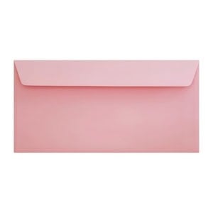 Clariana Pale Pink Envelope Dl Wallet Ratio
