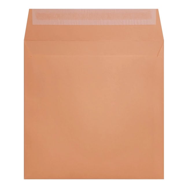 Clariana Pale Salmon Envelope 155mm Square Wallet Open