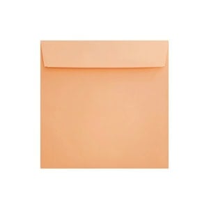 Clariana Pale Salmon Envelope 155mm Square Wallet Ratio