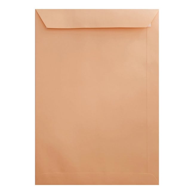 Clariana Pale Salmon Envelope C4 Pocket Closed