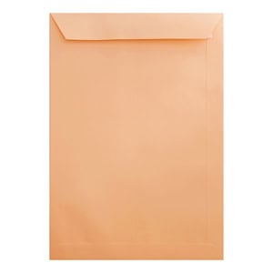 Clariana Pale Salmon Envelope C4 Pocket Ratio