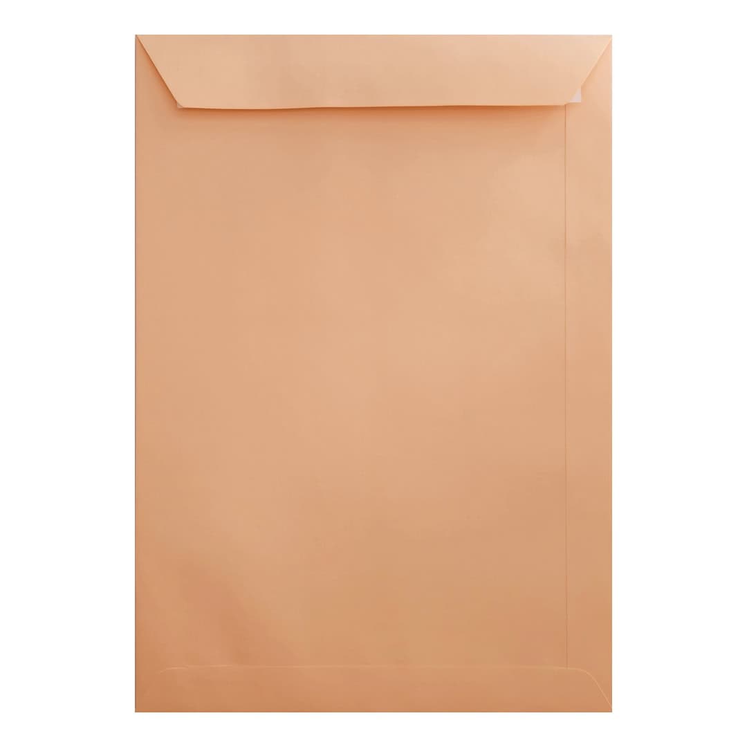 50 Salmon Pink 324mm x 229mm C4 Envelopes. Peel/Seal. 120gsm Pocket Flap. Value Pack.